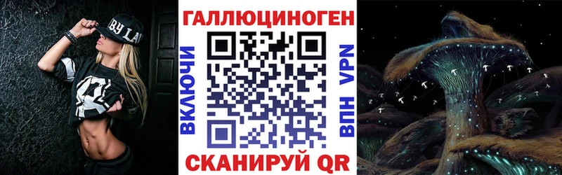 Галлюциногенные грибы Psilocybe  Барнаул 