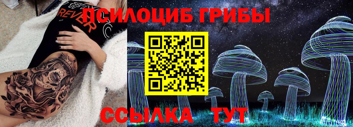 Галлюциногенные грибы Psilocybe  Барнаул 