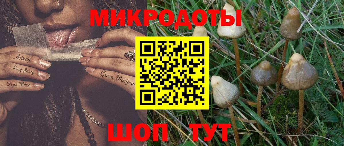 Псилоцибиновые грибы прущие грибы Барнаул