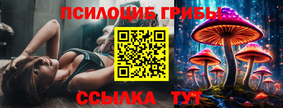 Галлюциногенные грибы MAGIC MUSHROOMS  Псилоцибиновые грибы мухоморы  Вход с VPN  Барнаул 