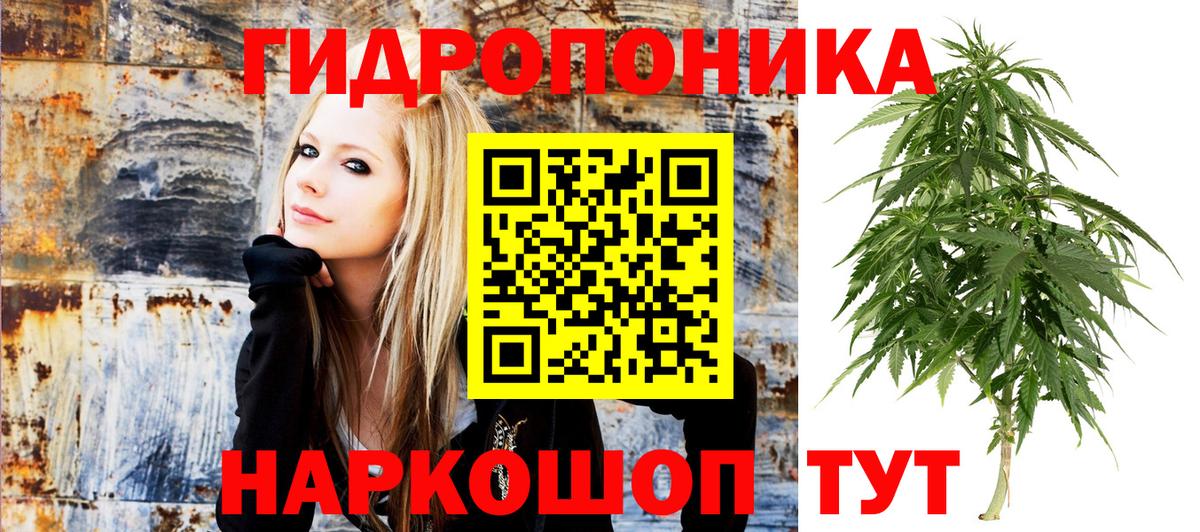 Канабис семена  Вход с VPN  МАРИХУАНА THC 21%  Барнаул  Каннабис гибрид 